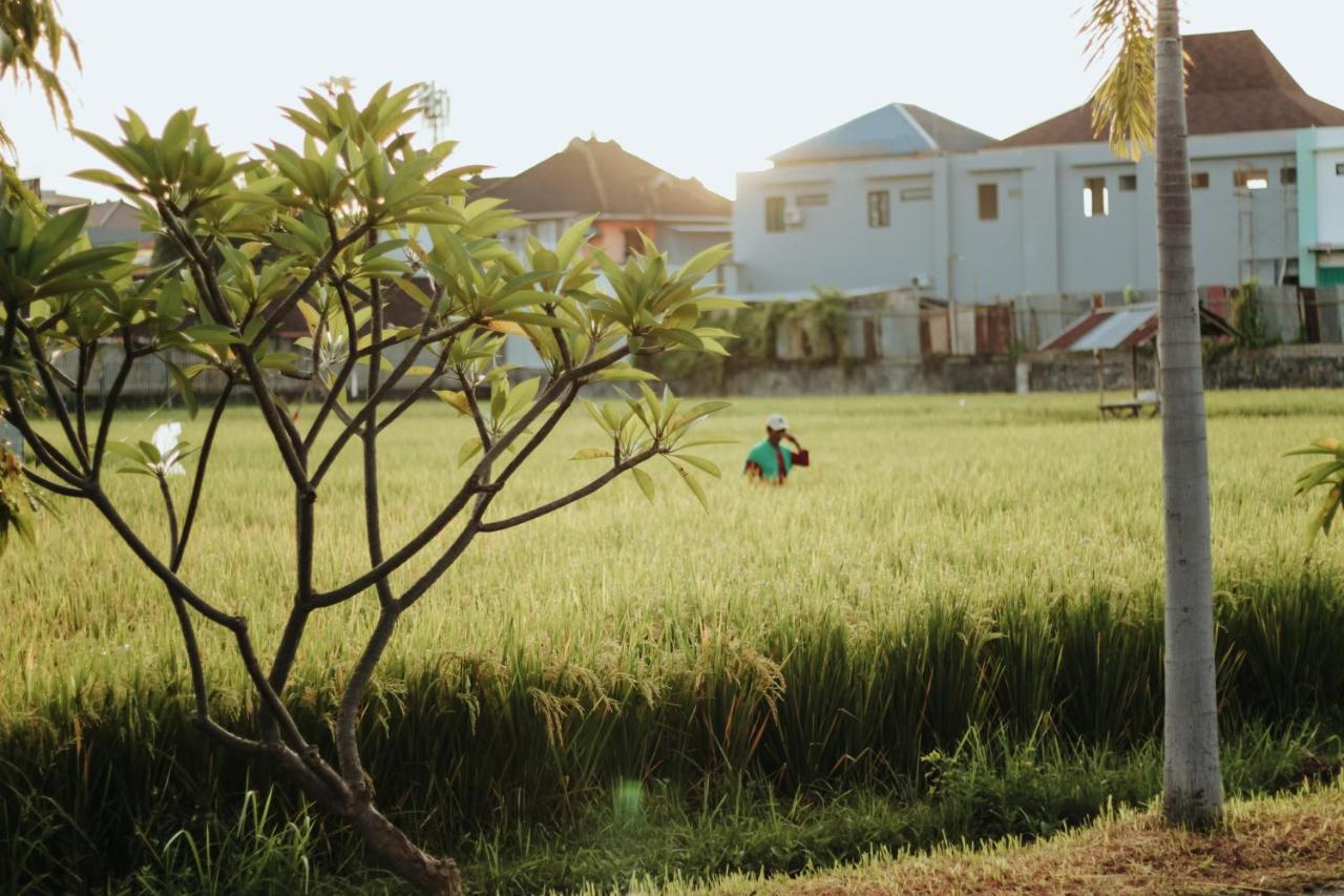 Hotel Mandari Pabean Buleleng Extérieur photo